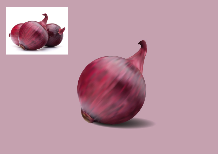 L'oignon 