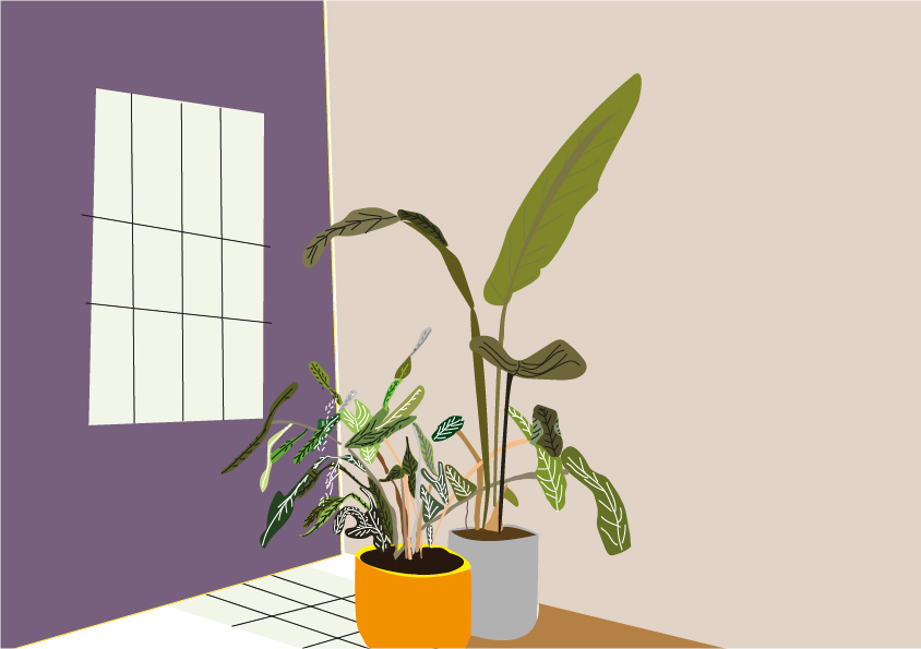 La nature morte 